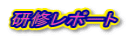 研修レポート